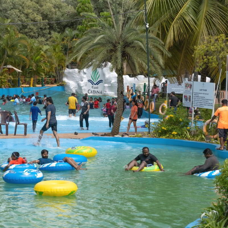 Adults Packages Without Buffet Breakfast