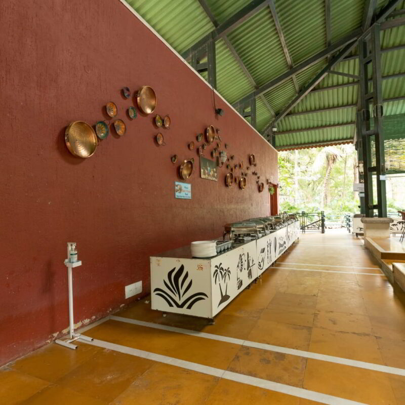 Kids Packages Without Buffet Breakfast (5 to 10 years)