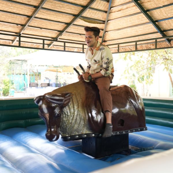 Bull Ride - Rs 100 per person